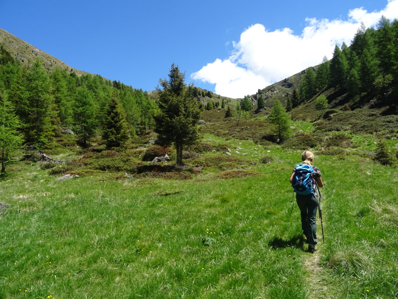 Catena dei Lagorai...da Pergine al Passo del Manghen